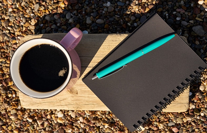 novel study exam tips